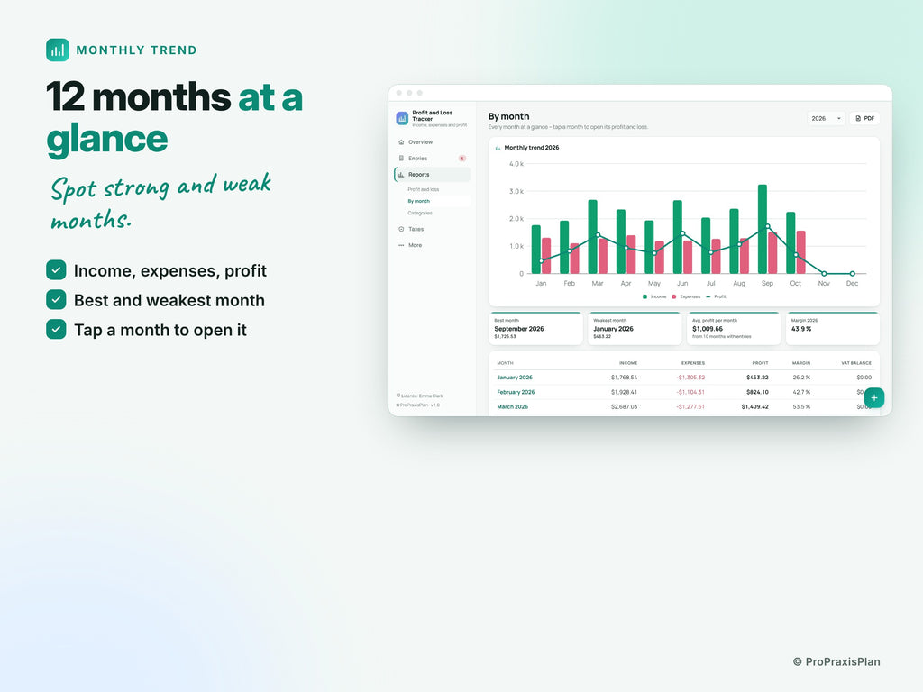 Profit and Loss Tracker – 12 months at a glance