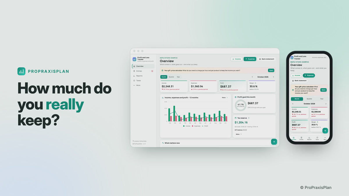 Profit and Loss Tracker in a short video: income, expenses and profit at a glance