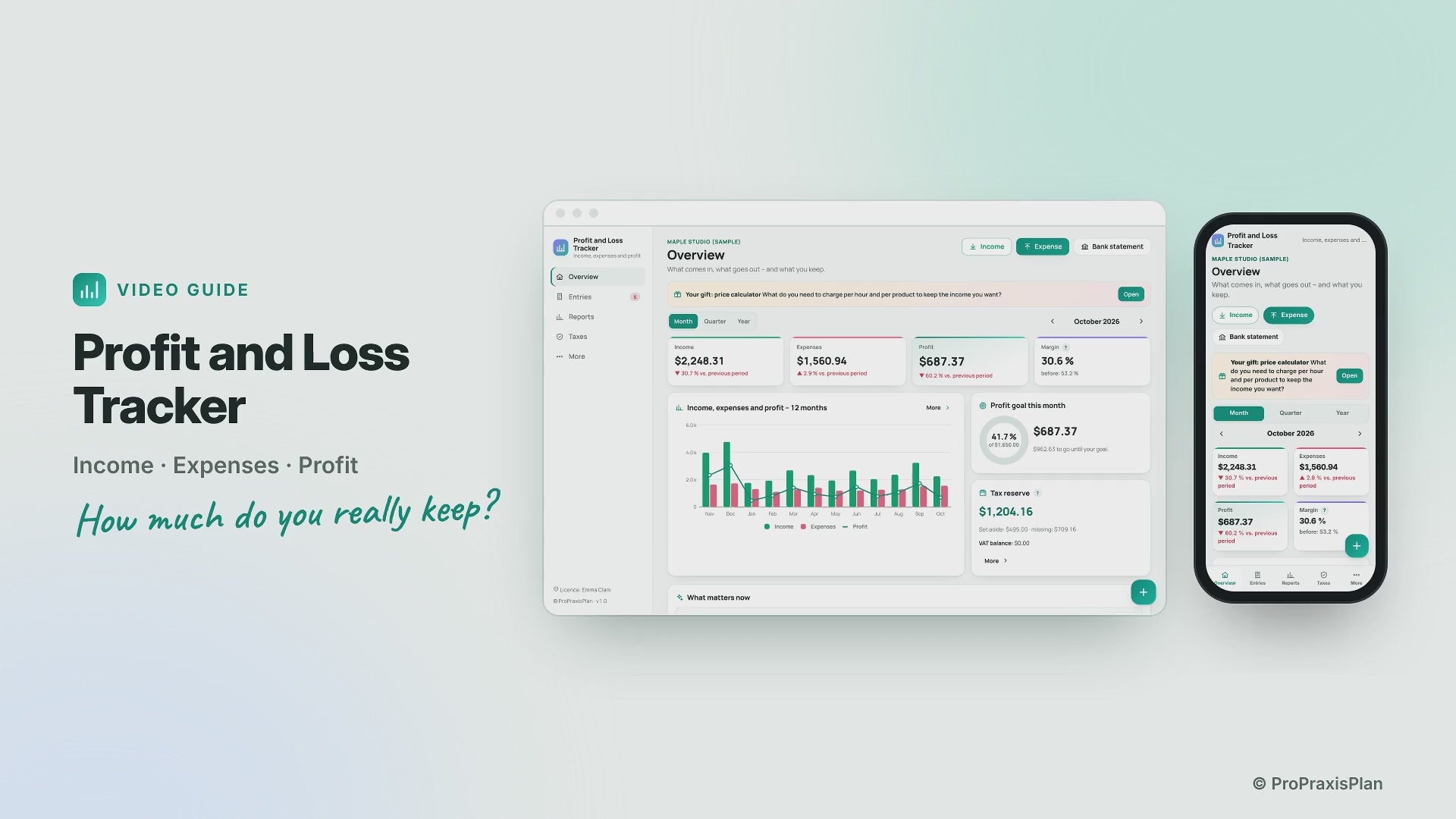 [en] Video guide (English): Profit and Loss Tracker step by step